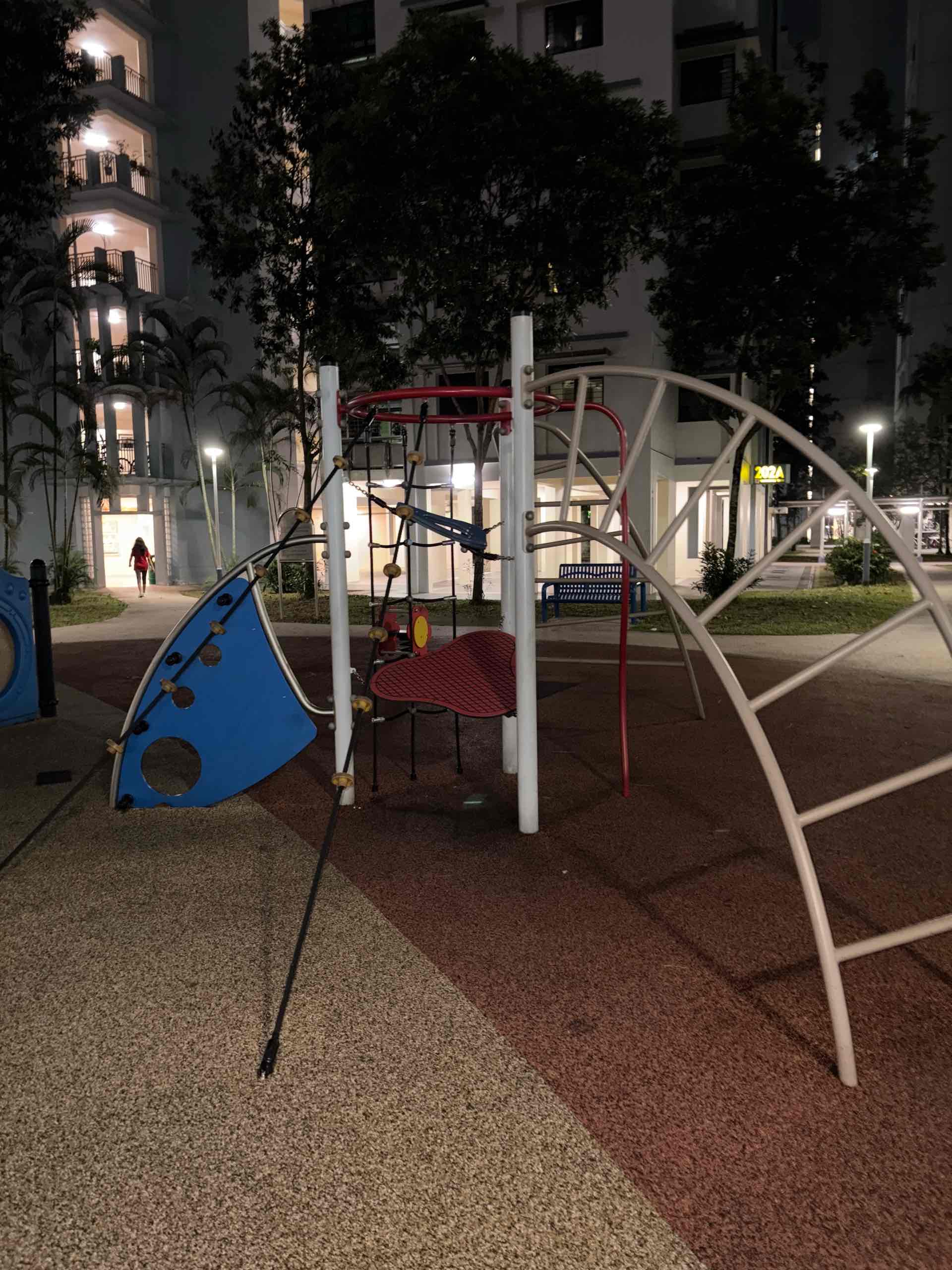 202A Compassvale Drive Playground - Photo 2